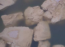 bulk_sludge
